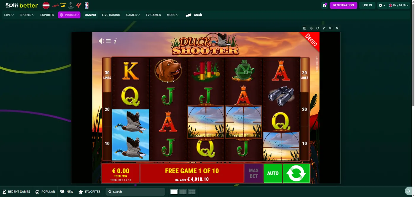 Duck Shooter duck slot bonus round in play by Gamomat