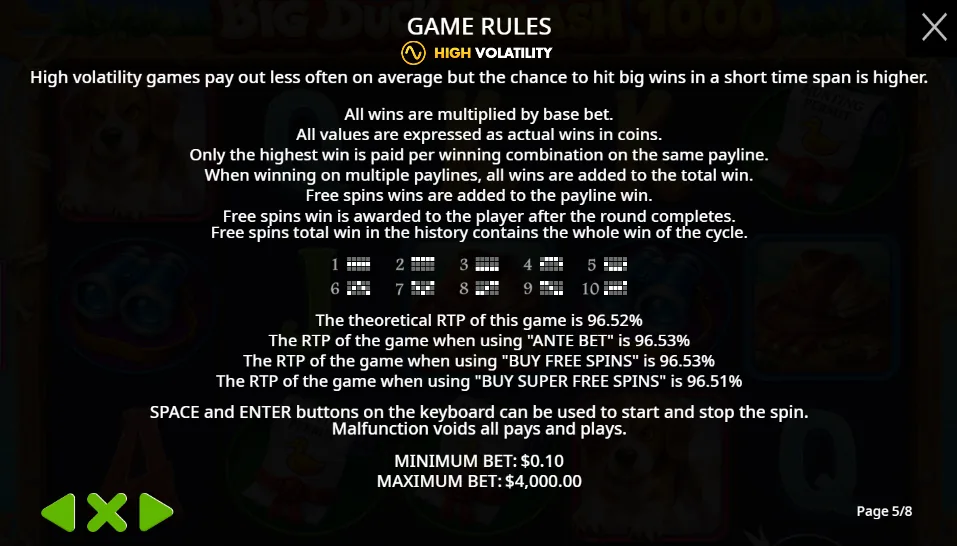 Big Duck Splash 1000 RTP 96,52 %, vysoká volatilita, 10 výherních linií a rozsah sázek 0,10 $–4 000 $ na Stake